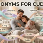 synonyms for cuddle